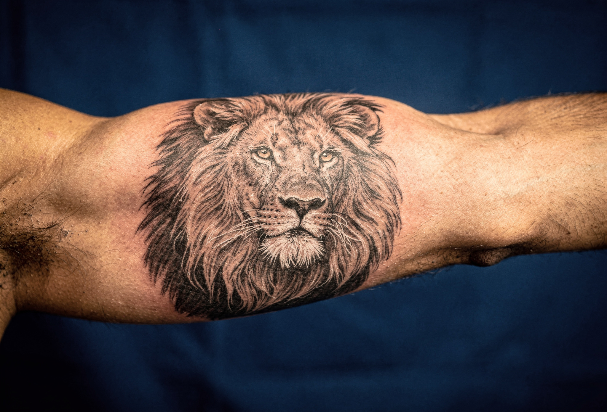 Kolda ayrintili fotografgercekci aslan yelesi dovmesi