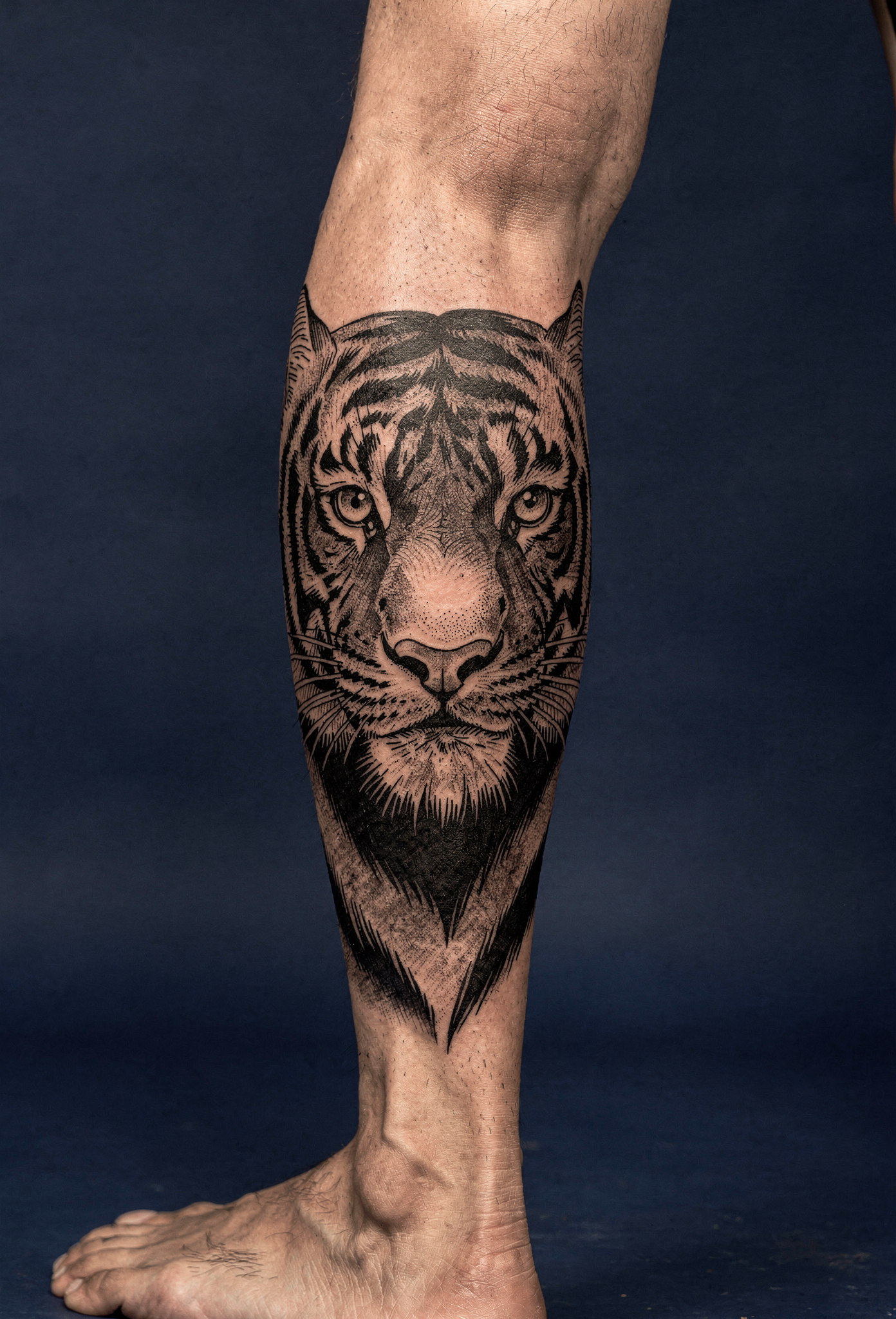 Baldirda cesur blackwork kaplan siluet dovmesi